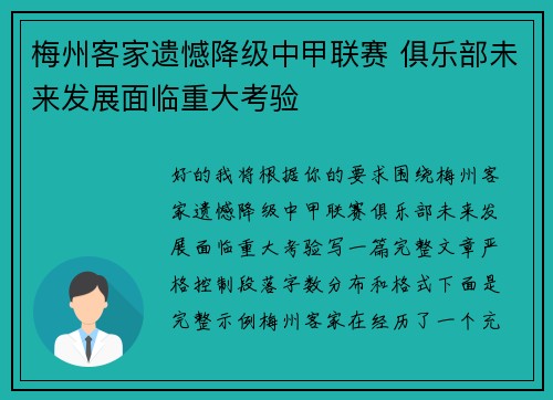 梅州客家遗憾降级中甲联赛 俱乐部未来发展面临重大考验