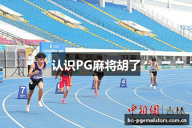 认识PG麻将胡了